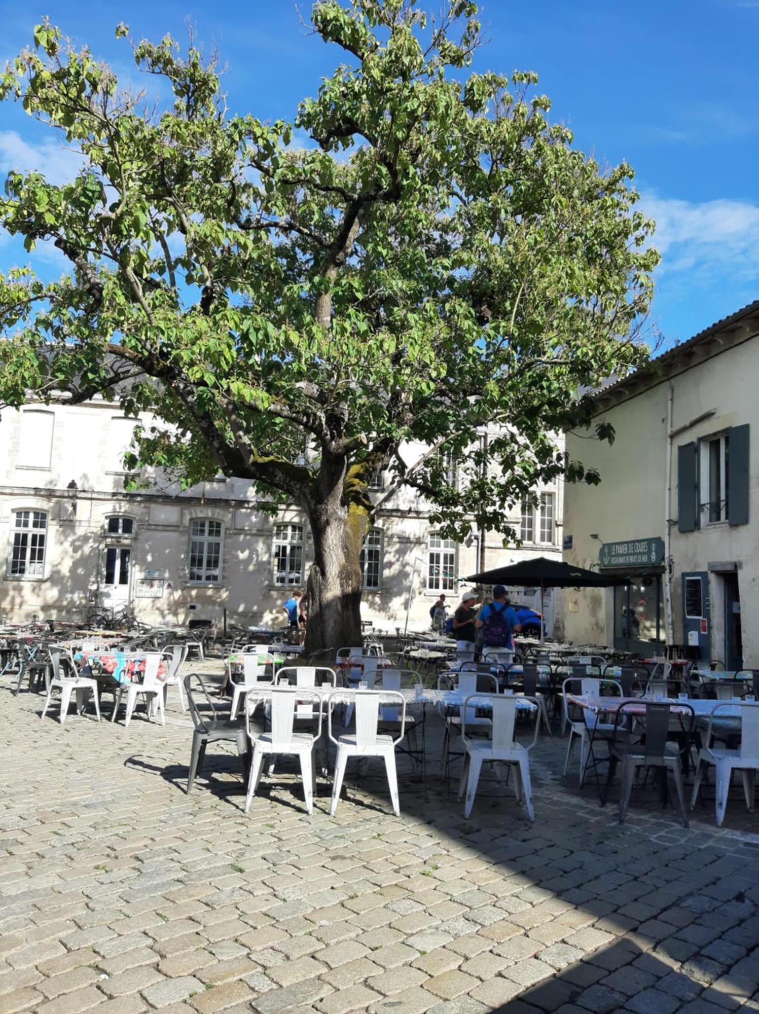 Comtesse Apartment La Rochelle  Luaran gambar
